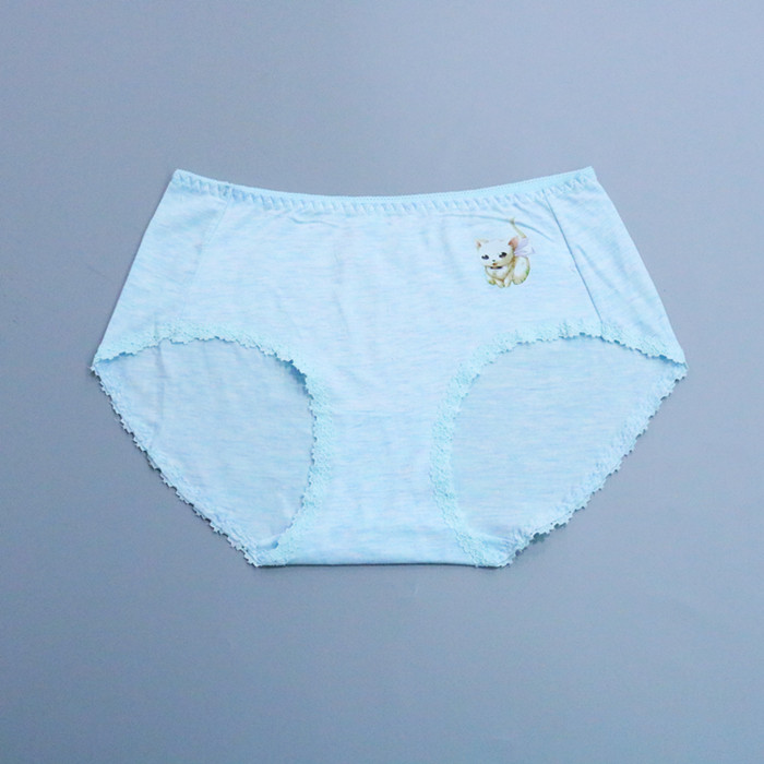 Heat transfer printing women's panties | Custom Underwear